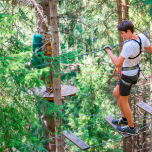 Tree Top Climbing