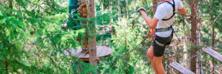 Tree Top Climbing