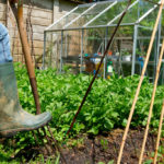 Learning Gardening